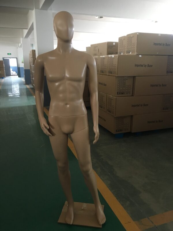 Male Full Body Mannequin-Skin-Tone(Egg-Head)Skin-tone