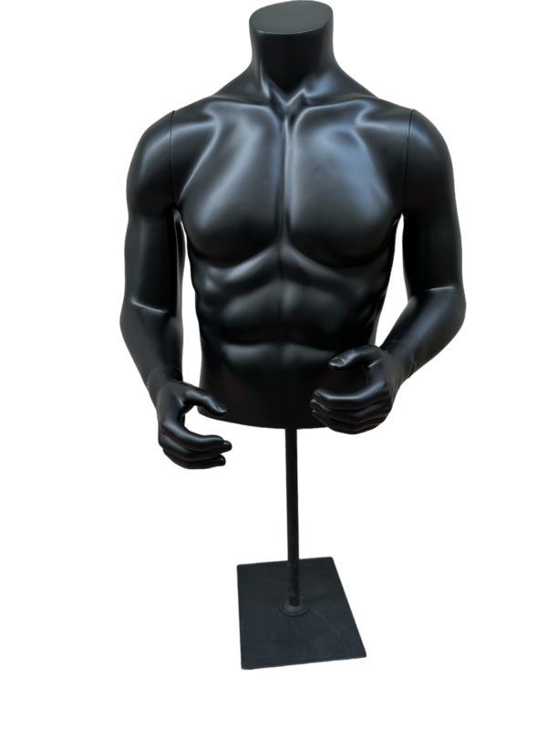 Half-Body Male Mannequin w/Stand